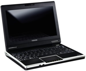 Toshiba Netbook, designed for working on the web.